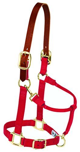 Weaver Leather Nylon Verstelbare Breakaway Paardenhalster - Rood - Klein