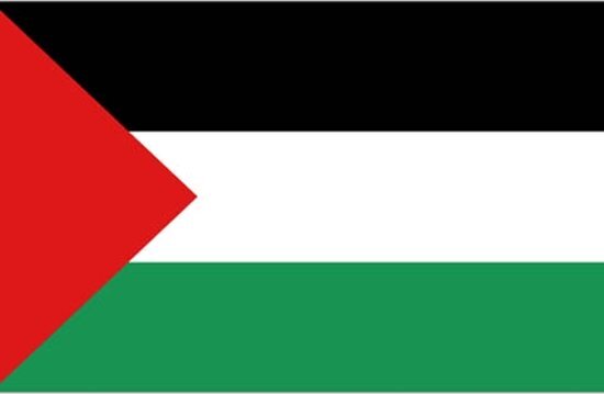 - vlag Palestina Palestijnse vlag