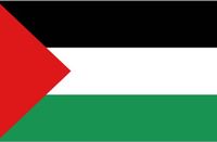 Panda - vlag Palestina Palestijnse vlag