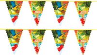 Merkloos / Sans marque Boland Bv Hawaii thema feest vlaggenlijn - 2x - 6 meter - Slingers - Tropische decoratie feestartikelen