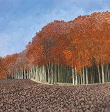 Susan Entwistle Art Herfst Beuken wenskaart, 15 cm x 15 cm, Papier Multi kleuren, 15 x 15 x 1 cm
