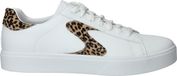 Skechers Eden LX - Feeling Fierce Veterschoenen Laag - Wit - Maat 36
