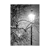 Wee Blue Coo Lonely Street Lamp Winter Night Black White Photo Picture Wall Art Print