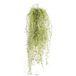 Grande Chute De Feuillage Long Hair L 80 cm vert-blanc