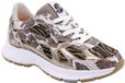 Floris van Bommel Sfw-10167 Daysi Sneakers - Leer - Dames - Bruin - Maat 39