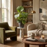 Green boutiQ - Calathea Orbifolia - Kamerplant - Groen - Weinig onderhoud - Pot 21cm - Hoogte 60-70cm