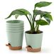 Qaobo Plantenpotten 6 stuks 5 inch zelfbewaterende plantenbakken hoge drainage bloemenpot voor binnen buitenplanten met reservoir lade en bewatering lip tuinieren plantenbak tuin bloempotten, groen