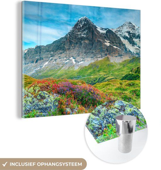 MuchoWow® Glass Painting 160x120 cm - Acrylic Glass Painting - Flowers - Mountain - Snow - Landscape - Photo on Glass - Paintings