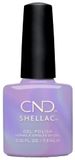 Shellac Live Love Lavender
