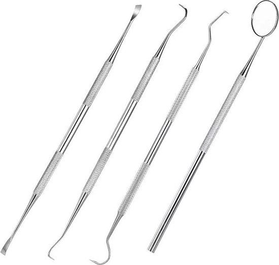 Tandverzorging Gereedschapset - 4-Delig - RVS - Zilver