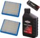 perfektGarten Briggs & Stratton Bougie + Filter + motorolie voor B&S Quantum 625, 650, 675