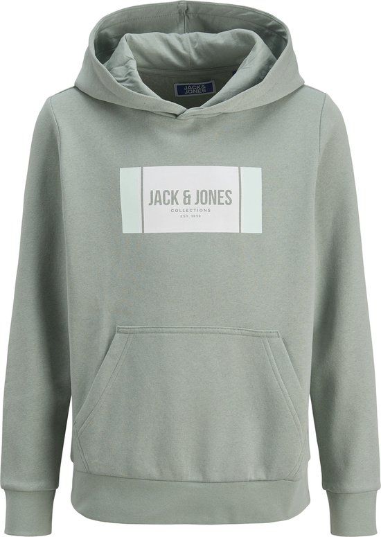 JACK&JONES JJHAYATO SWEAT HOOD JNR Jongens Sweater Katoen/Polyester Lange mouw Regular Fit Iceberg Green Maat 128