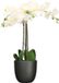 Mica Decorations Orchidee kunstplant wit - 75 cm - inclusief bloempot zwart mat