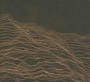 PIAS Nederland Floating Points - Reflections - Mojave Desert (2 CD)
