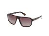 Timberland TB00075 Dark havana 61/19/155 MAN Zonnebrillen