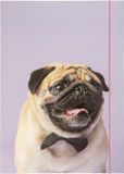 Folia Verzameltas A3 van Stevig Karton met Elastiek - Basic Puggy Love