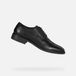 GEOX GLADWIN HEREN - ZWART - Maat 43