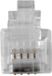 ACT Intronics TD102 ACT RJ10 (4P/4C) Modulaire Connector voor Platte Kabel - Transparant