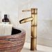 Merkloos Retro Bronzen Badkraan met Enkel Gat en Warm/Koud Water