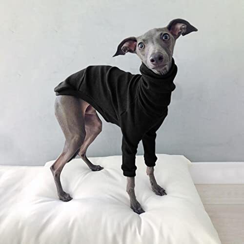 JRKJ Winter Dog Pyjama Solid Color High Neck Threaded Two-Penged Dog Clothes Casual Pet Dog Cothes Kleine en middelgrote hondenkleding