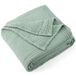 Carriediosa 100% katoenen mousseline plaid, 4-laags, voorgewassen linnen gaasdekens voor volwassenen, zacht, ademend, lichtgewicht, comfort plaids voor bed en bank, 177 x 80 cm, saliegroen