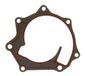 Gasket, Icecat Gasket, water pump