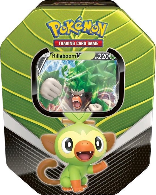 Pokémon Pokemon tin: Spring 2020