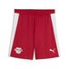 PUMA Short d’entraînement RB Leipzig Homme, Accessoires, Rouge, XXL