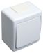 Pawbol Double switch, flush mounting, IP44, white light switch and socket