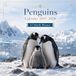 Penguins 2027–2028 15-Month Planner Calendar