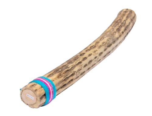 FUZEAU - Regenstok van cactus 50 cm
