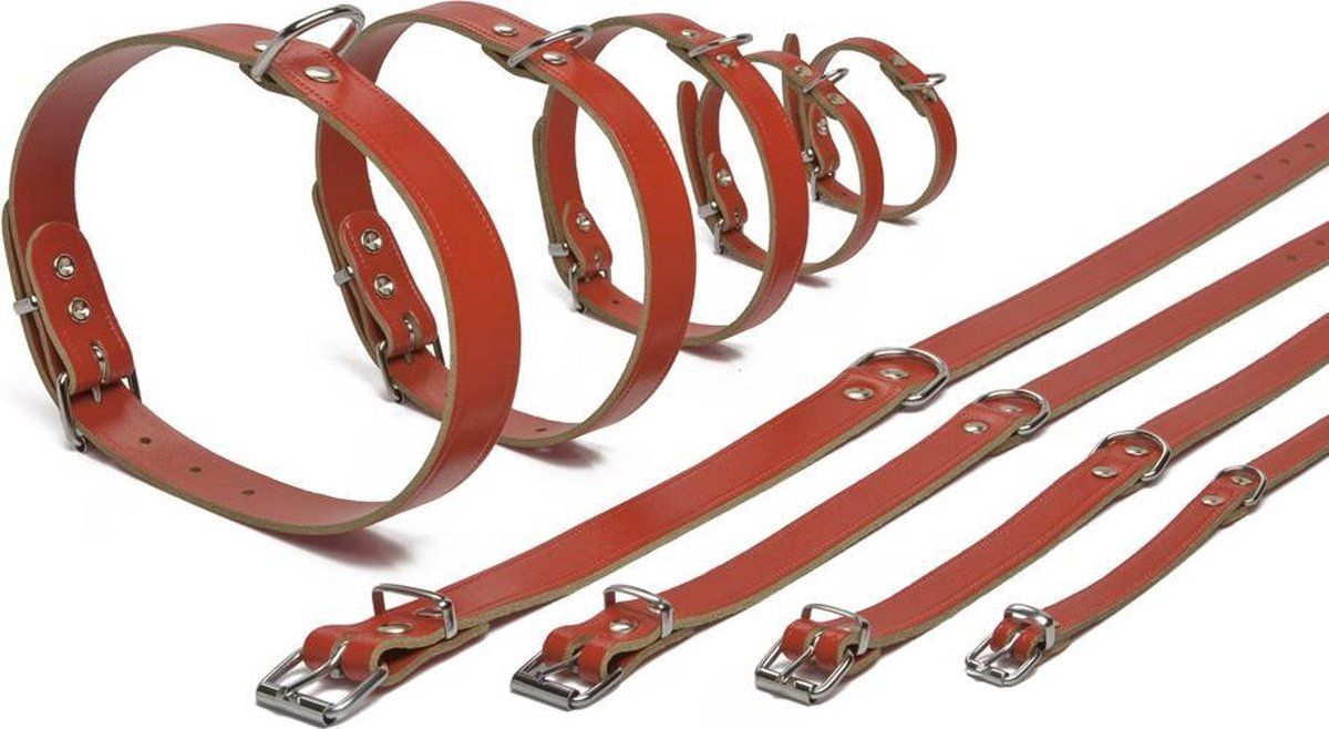 Beeztees Ipts halsband - Rood 32x10