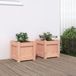 Maison Exclusive - Lot de 2 bac à fleurs en bois massif de douglas