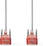Nedis Câble réseau CAT6 - RJ45 mâle - RJ45 mâle - U/UTP - 1,50 m - Gris