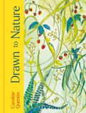 Drawn Frances Lincoln Drawn to Nature Hardcover