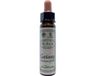Ainsworths Centaury Bach Flower Remedy - 10 ml - Etherische Olie