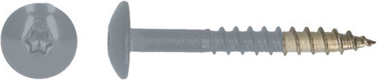 pgb-Europe PGB-FASTENERS HPL schroef Tx20 4,8x38 R7001 A4