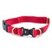 Petsafe KeepSafe Break-Away Halsband, voorkomt ongelukken voor uw hond of puppy, verbetert de veiligheid, compatibel met loodgebruik, verstelbare maten, rood, medium (0,75 inch)