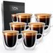 VDN Dubbelwandige Koffieglazen 150 ml met Oor - Set van 6