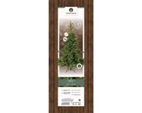 Everlands Grandis Fir kunstkerstboom groen met verlichting H270 cm D172 cm