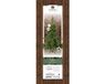 Everlands Grandis Fir kunstkerstboom groen met verlichting H270 cm D172 cm