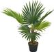 vidaXL Kunstplant met pot palm 70 cm groen
