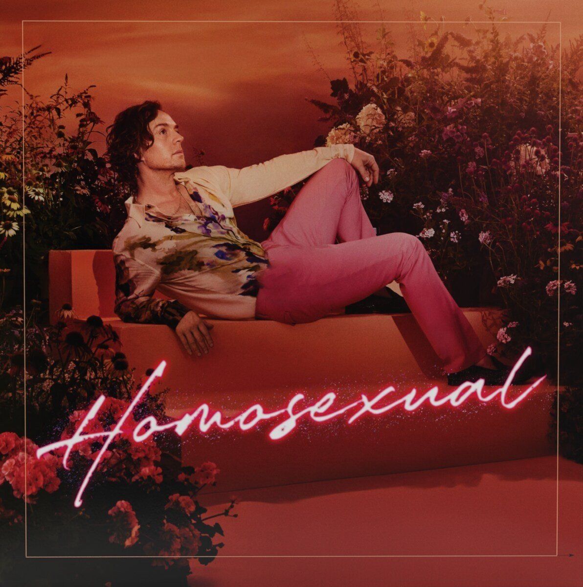 PIAS Nederland Homosexual - Muziek - 5037300011585