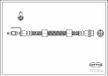 Corteco 19033498 Remslang | Compatibel met: FORD TOURNEO CONNECT, TRANSIT CONNECT