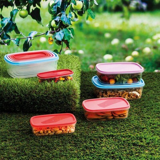 Set 5 Lunchboxen Quid Habitat Plastic - Multicolour