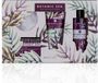 Accentra Botanic Spa Cadeauset - 4-delige Wellness Badset met Douchegel, Bodylotion, Badzout en Spons - Groene Thee & Citroenverbena