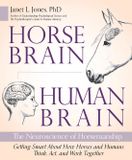 Horse Brain, Human Brain: The Neuroscience of Horsemanship