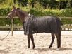 Harry's Horse Staldeken Highliner 0gr fleece voering paardendeken maat 185 - Zwart