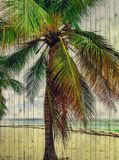 AS Creation Papier peint Tahiti 3 DD113682