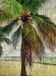 AS Creation Papier peint Tahiti 3 DD113682